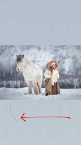 Создать мем: прогулка на лошадях, лошадь, белая лошадь в снегу девушка