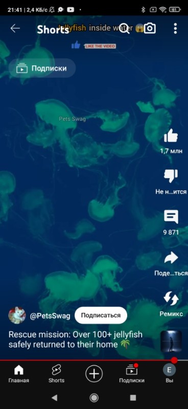 Создать мем: приложение, мобильное приложение, синяя медуза