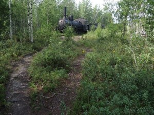 Создать мем: паровоз в тайге, 503 стройка салехард игарка, дорога салехард игарка