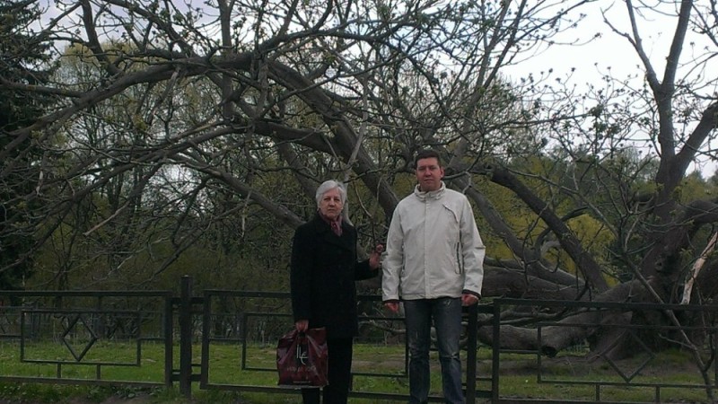 Create meme: manchurian walnut botanical garden, manchurian walnut in the botanical garden in Moscow, botanical Garden of the Russian Academy of Sciences