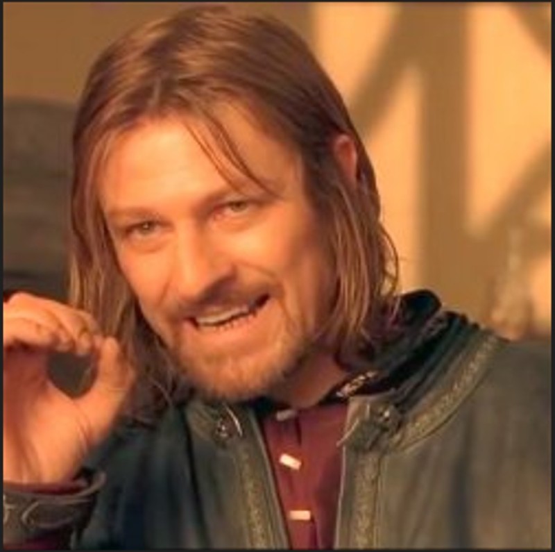 Create meme: meme Lord of the rings Boromir, Sean bean Boromir, you cannot just take and 