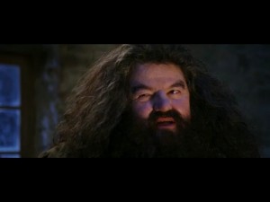 Create meme: Hagrid 3