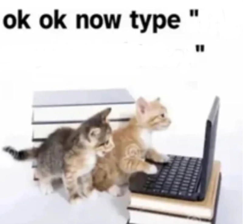 Create meme: cat , a cat with a laptop, a kitten with a computer