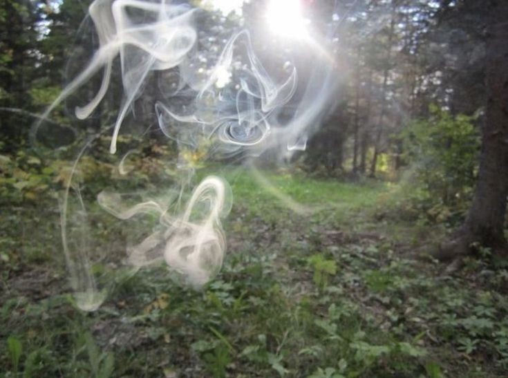 Создать мем: световая инсталляция в лесу, мать природа, дым