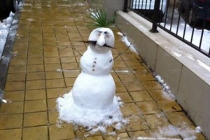 Создать мем: растаявший снеговик, снеговик настоящий, грузинский снеговик