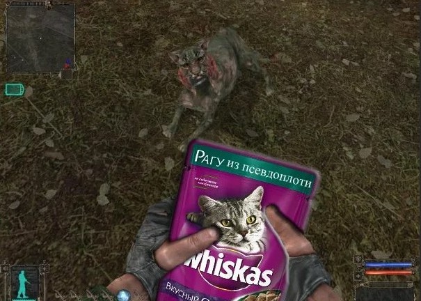 Create meme: Stalker jokes, the cat bayun stalker, s.t.a.l.k.e.r.