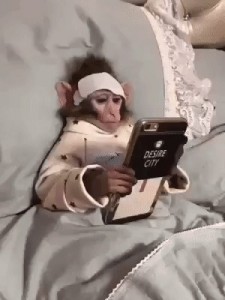 Создать мем: обезьяна лежит с телефоном, домашние обезьянки, скриншот