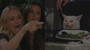 Create meme: cat at the table, the meme with the cat at the table, MEM woman and the cat