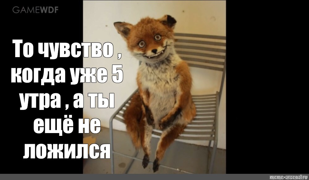 Meme: "hilarious Fox, sticker stoned Fox, stoned Fox selfie" .