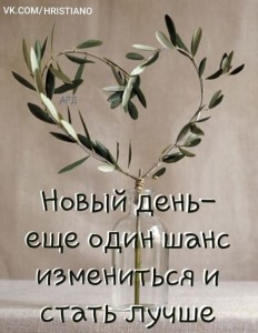 Create meme: Christian quotes, olive branch, quotes