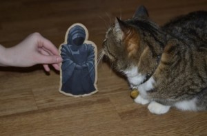 Create meme: kitties, Cat and Shadow
