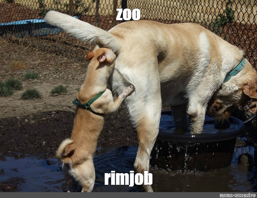 Zoo Rimjob