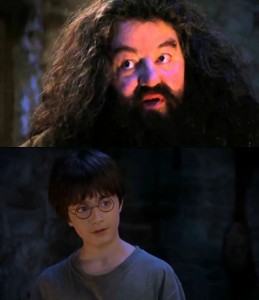 Create meme: Hagrid Harry Potter, Harry Potter