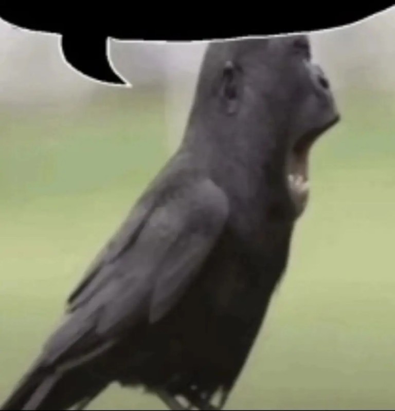 Создать мем: птица черная, птичка заебушка, темнота
