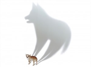 Create meme: art fox, wolf, the wolf blurred meme