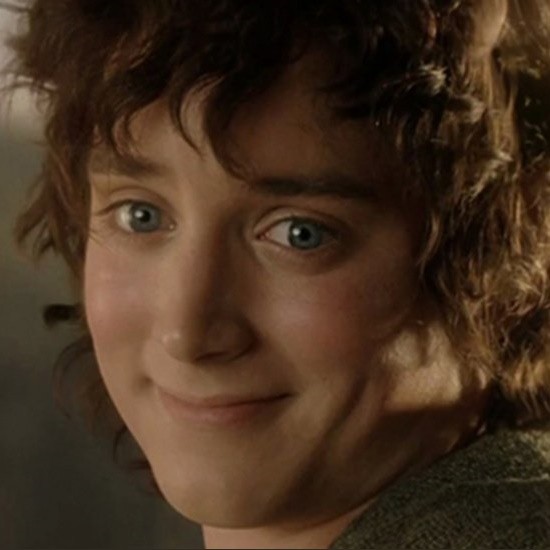 Create meme: the hobbit Frodo, Frodo from Lord of the rings, Frodo Lord of the rings