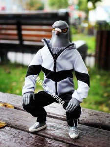 Create meme: toy, dove, dove Gopnik