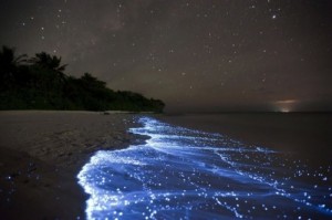 Create meme: phenomenon, Maldives, the phenomena of nature