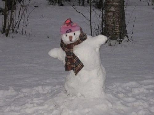 Create meme: snowman , funny snowmen, beautiful snowmen