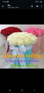 Create meme: roses in hatbox, roses in box, hat box