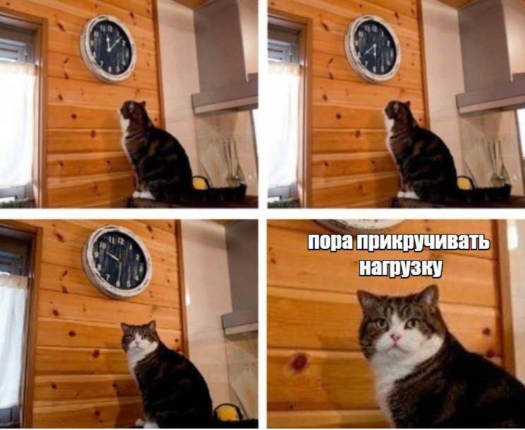 Создать мем: мем кот пора, мемы с котами, кот смотрит на часы мем