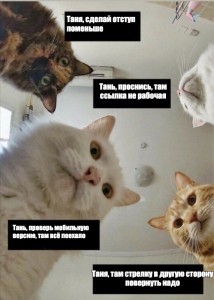 Создать мем: мем котик, мемы с котами, мем коты наташа