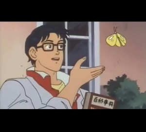 Создать мем: это птица мем, мем с бабочкой аниме шаблон, мем аниме 1990