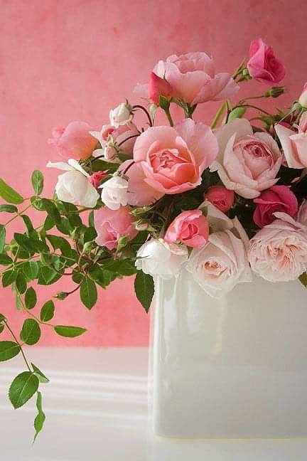 Create meme: pink roses , a beautiful bouquet of delicate roses, pink roses in a vase