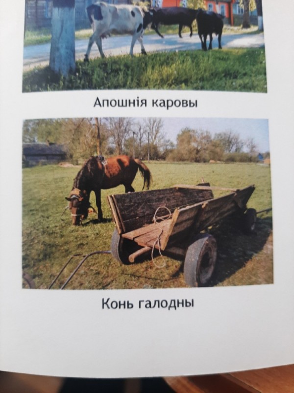 Create meme: horses in the village, bezhin meadow, a horse harnessed to a plow