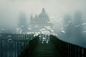 Create meme: venice italy, creeping fog, bridges city