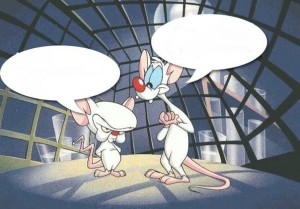 Create meme: pinky and brain take over the world, pinky and the brain animated series, cartoon mice pinky and brain