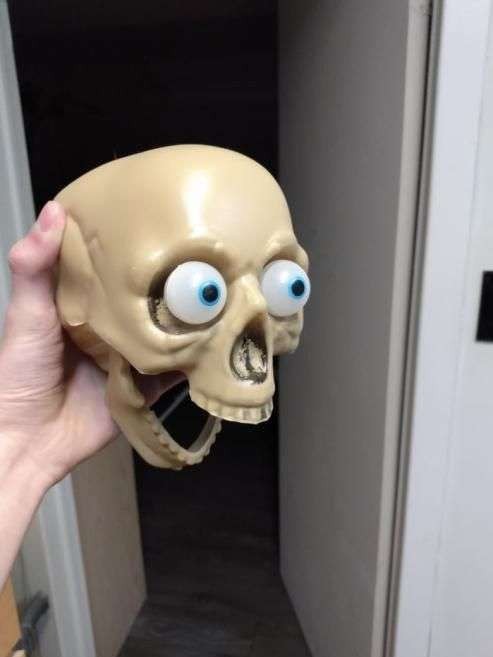 Create meme: meme skeleton , A skeleton with eyes, funny skull