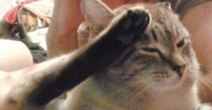 Create meme: cat salutes, cat salutes