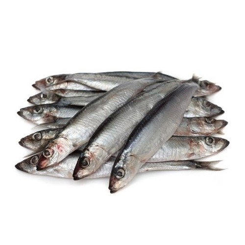 Create meme: capelin, capelin fish, anchovies hamsa sardines