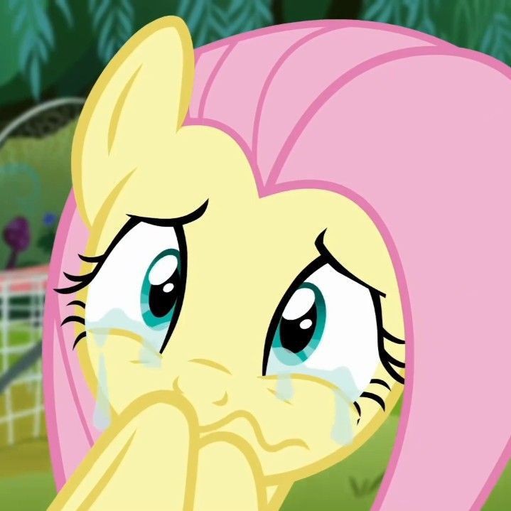Create meme: fluttershy is crying, fluttershy , Pony fluttershy is crying