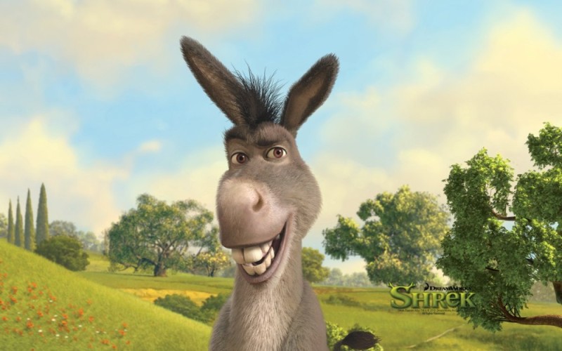 Create meme: the jackass of shrek, donkey shrek, The face of the donkey from Shrek