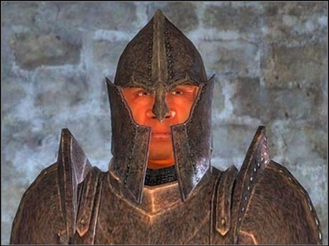 Create meme: the elder scrolls iv: oblivion, stop right there criminal scum, Imperial Guard Oblivion