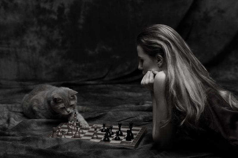 Create meme: chess cats, playing with a cat, girl and chess