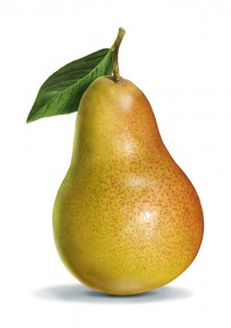 Create meme: pear on white background, pear