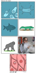 Создать мем: мем про эволюцию комикс, рисунки животных, 151×300