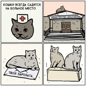 Создать мем: юмор, кошки всегда садятся на больное место, юмор комиксы