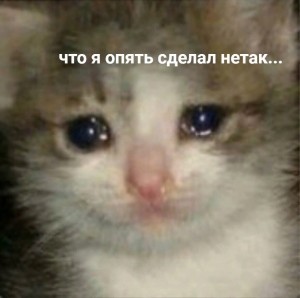 Создать мем: плачущий котенок мем, котик плачет, плачущий кот