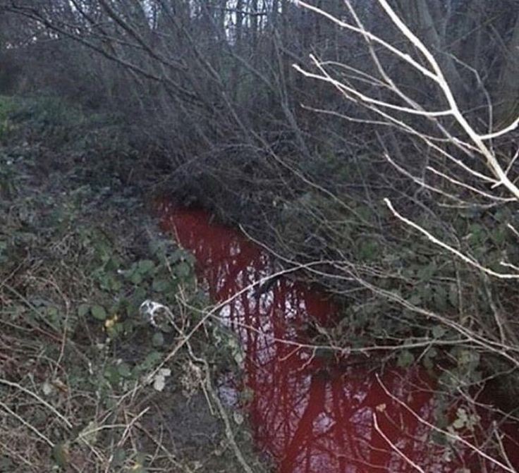 Создать мем: bloody river, река гвоздня наро-фоминск, красная река
