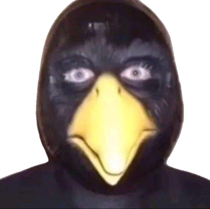 Create meme: duck head, The mask of Doctor Plague, penguin mask