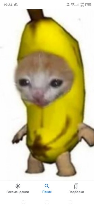 Создать мем: плачущий кот в костюме банана, кот бананчик, кот с бананом мем