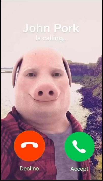 Create meme: text , technoblade face, a typical selfie