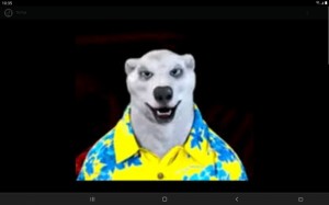 Create meme: polar bear, dog, polar bear meme