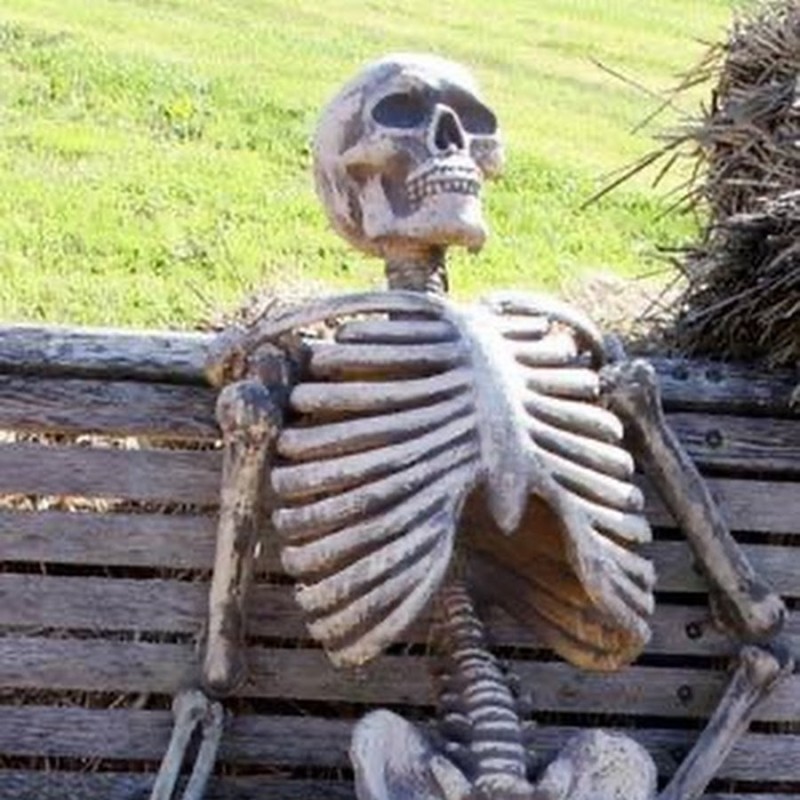 Создать мем: скелет ждет мем, скелет на скамейке, ждущий скелет