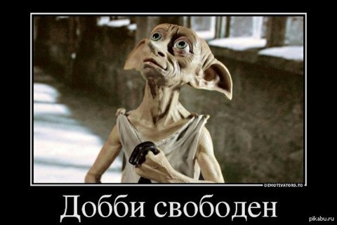 Create meme: Dobby is free , now Dobby is free , Dobby is free to divorce