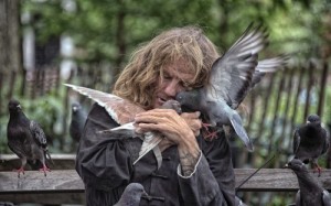 Создать мем: pigeon, птицы нью-йорка, мужчина и птицы